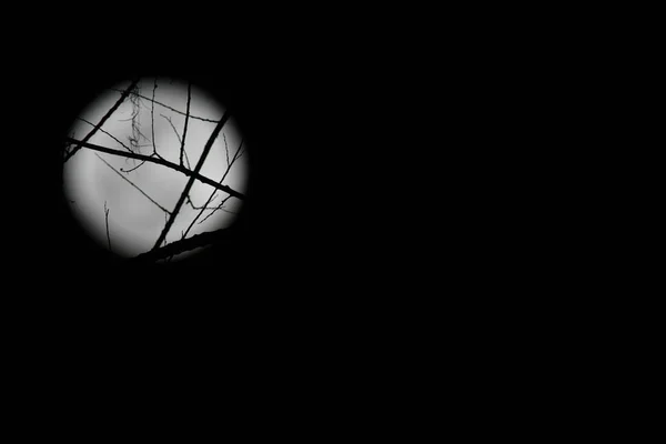 Prachtig Uitzicht Volle Maan Nachtelijke Hemel — Stockfoto