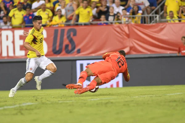 Usa Columbia Raymond James Stadium Tampa Florida Den Oktober 2018 — Stockfoto