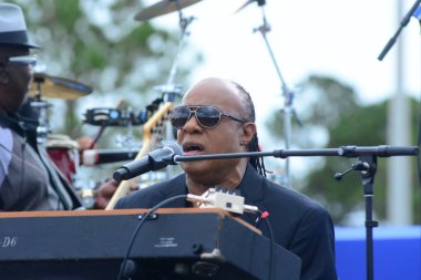 Stevie Wonder, Başkan Barack Obama 'nın 6 Kasım 2016' da Kissimmee Florida 'da başkanlık adaylığını destekleyen mitinginde performans sergiliyor..
