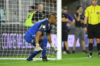 Florida Kupası 2020: S.E Palmeiras - Atletico Nacional maçı 15 Ocak 2020 Çarşamba günü Orlando Florida Exploria Stadyumu 'nda..  