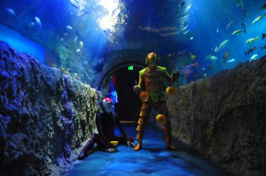 30 Ağustos 2016 'da Orlando Florida' daki güzel Orlando Eye 'daki Cirque du Soleil gösterisi.