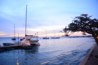 21 Eylül 2016 'da Hollanda' daki Güzel Bonaire. Fotoğraf: Marty Jean-Louis