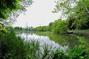 24 Mayıs 2016 'da New York' un geniş açı görüntüsü. 