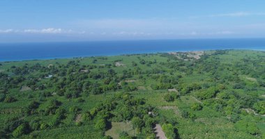 Kabare Haiti (8 Ağustos 2018) 