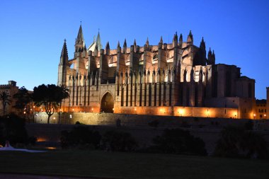 Palma De Mallorca İspanya 'daki Palma Kilisesi' nin gece manzarası