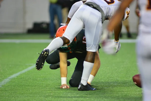 Florida Rattlers Enfrentan Bethune Cookman Wildcats Durante Los Clásicos Florida —  Fotos de Stock