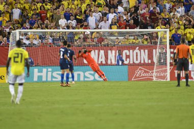 ABD Kolombiya 'ya karşı Raymond James Stadyumu' nda 11 Ekim 2018 'de.  