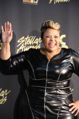 18 Ocak 2014 'te Nashville Tennessee' de düzenlenen 29..  