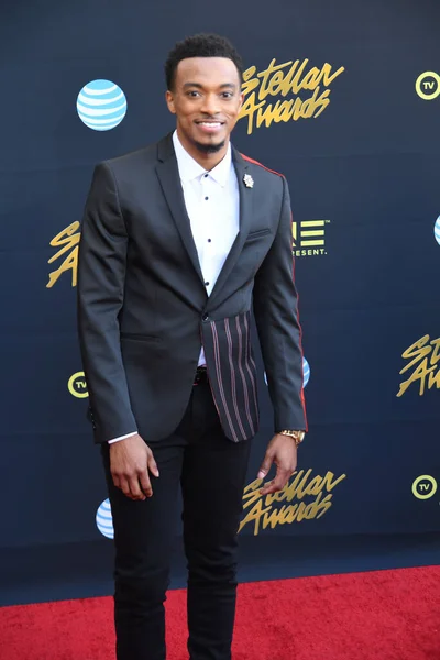 24 Mart 2018 Cumartesi günü Las Vegas 'taki Orleans Resort' ta düzenlenen 33. Yıldız Ödülleri Kırmızı Halı sırasında ünlüler.