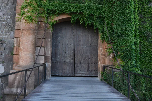 View Old Castle Doors — Stock Photo, Image