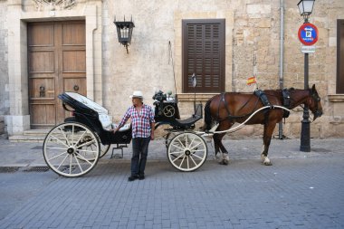 Bir faytoncuyla at arabasının görüntüsü