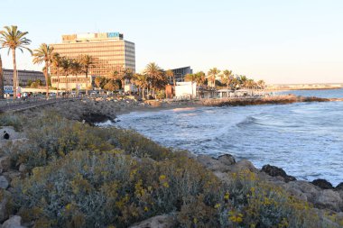 Sahili ve rıhtımı olan sahil manzarası.