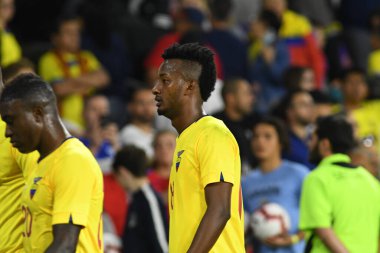 ABD Erkekler Milli Takımı 21 Mart 2019 'da Orlando City Stadyumu' nda Ekvador Milli Takımı 'na ev sahipliği yaptı.. 