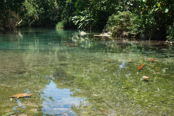 澄んだ水と美しい池の海岸からの眺め — ストック写真