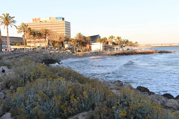 Sahili ve rıhtımı olan sahil manzarası.