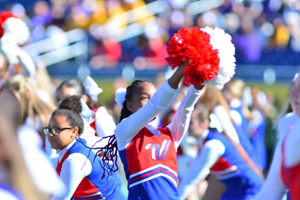 LSU, 31 Aralık 2016 tarihinde Orlando Florida 'daki Kamp Dünya Stadyumu' nda oynanan 71. Citrus Kupası 'nda Louisville ile karşılaşacak..  