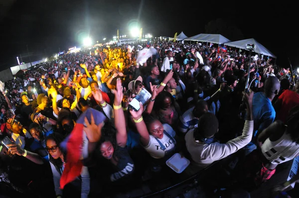 Orlando Caribbean Festival Den Mars 2017 Florid Photo Credit Marty — Stockfoto