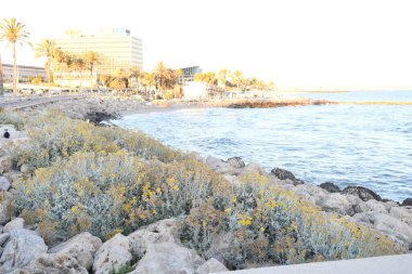 Sahili ve rıhtımı olan sahil manzarası.