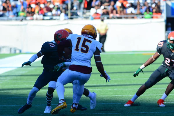 Florida Rattlers Enfrentar Bethune Cookman Wildcats Durig Clássicos Flórida Estádio — Fotografia de Stock