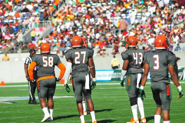 Florida Rattlers Affrontare Bethune Cookman Wildcats Scavato Classici Della Florida — Foto Stock