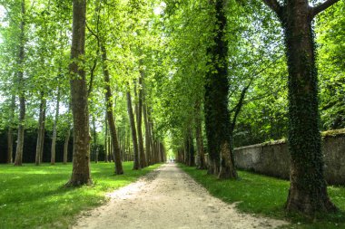 Versaille Sarayı, 31 Mayıs 2017.