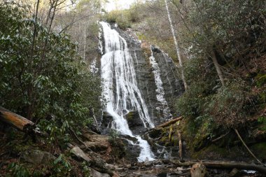 Maggie Vadisi, Kuzey Carolina 'da kış