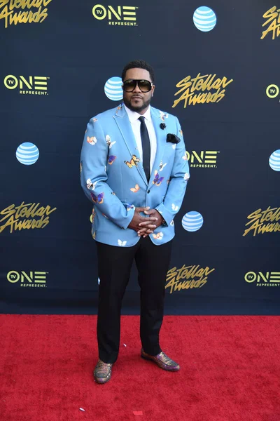 24 Mart 2018 Cumartesi günü Las Vegas 'taki Orleans Resort' ta düzenlenen 33. Yıldız Ödülleri Kırmızı Halı sırasında ünlüler. 