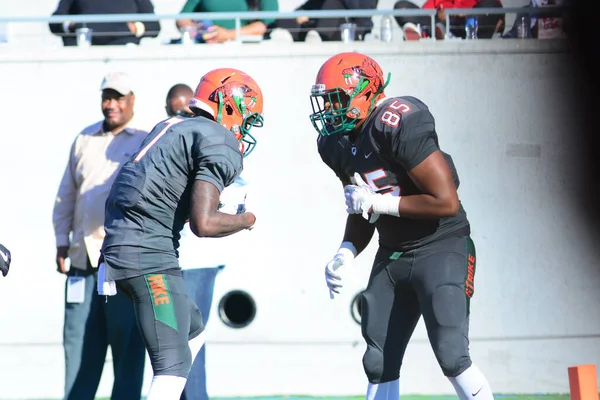 Florida Rattlers Face Bethune Cookman Wildcats Durig Florida Classics Camping — Photo