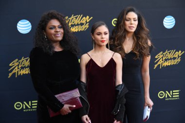 24 Mart 2018 Cumartesi günü Las Vegas 'taki Orleans Resort' ta düzenlenen 33. Yıldız Ödülleri Kırmızı Halı sırasında ünlüler.