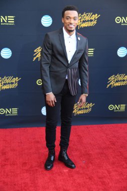 24 Mart 2018 Cumartesi günü Las Vegas 'taki Orleans Resort' ta düzenlenen 33. Yıldız Ödülleri Kırmızı Halı sırasında ünlüler.