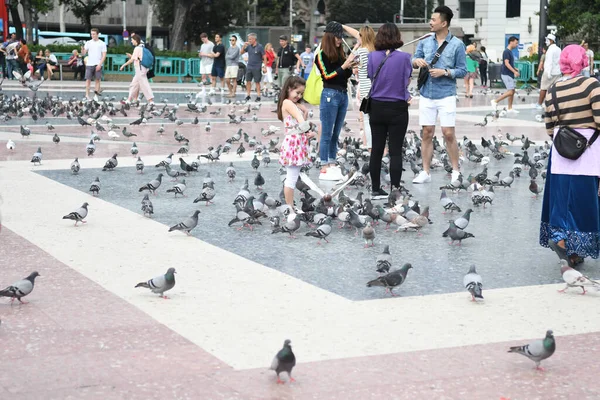 Vue Sur Place Principale Les Gens Nourrissent Les Pigeons — Photo