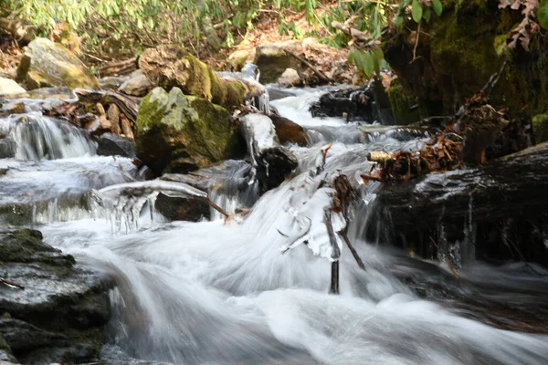 Maggie Vadisi, Kuzey Carolina 'da kış.