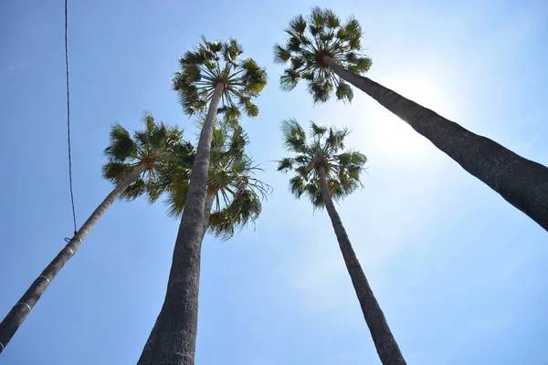 Cannes França Belo Dia Verão — Fotografia de Stock