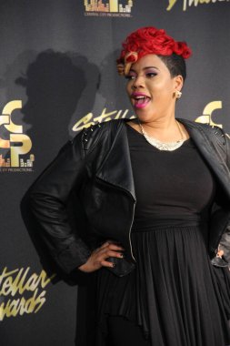 18 Ocak 2014 'te Nashville Tennessee' de düzenlenen 29.