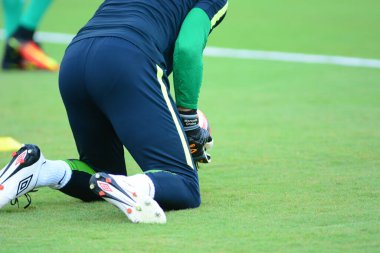 Brezilya, 8 Haziran 2016 tarihinde Orlando Florida 'daki Copa America Centenario' da Haiti ile karşılaştı..