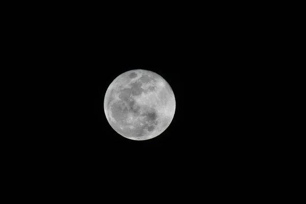 Beautiful View Full Moon Night Sky — Stock Photo, Image