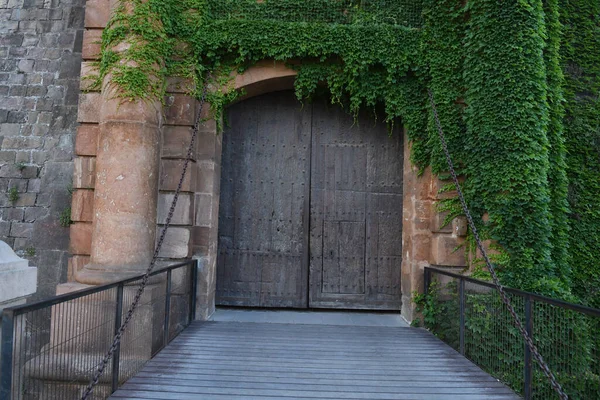 View Old Castle Doors — Stock Photo, Image