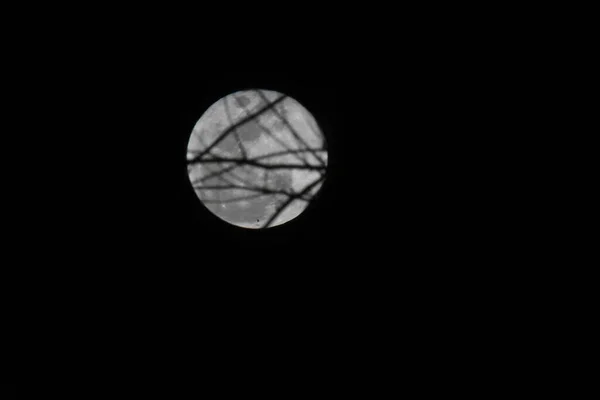 Beautiful View Full Moon Night Sky — Stock Photo, Image