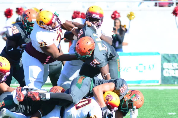 Florida Rattlers Enfrentan Bethune Cookman Wildcats Durante Los Clásicos Florida —  Fotos de Stock