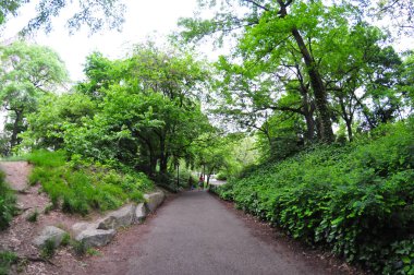 24 Mayıs 2016 'da New York' un geniş açı görüntüsü. 