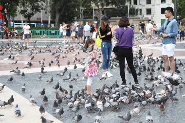 İnsanların güvercinleri beslediği ana meydanı görün