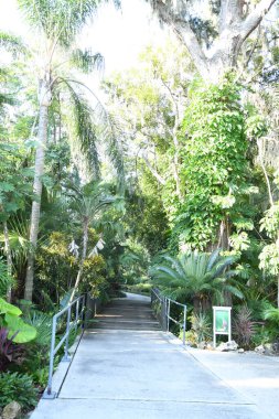 Orlando Florida 'daki Lew Garden