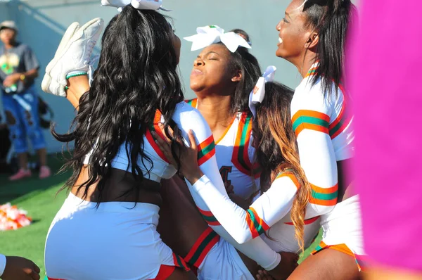 Florida Rattlers Enfrentar Bethune Cookman Wildcats Durig Clássicos Flórida Estádio — Fotografia de Stock