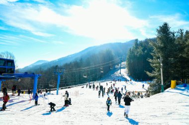 Maggie Vadisi, Kuzey Carolina 'da kış.