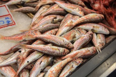 16 Mayıs 2014 'te Güzel Ventimiglia Şehri.  