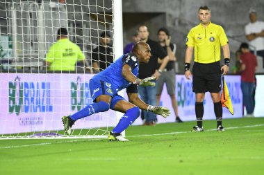 Florida Kupası 2020: S.E Palmeiras - Atletico Nacional maçı 15 Ocak 2020 Çarşamba günü Orlando Florida Exploria Stadyumu 'nda..  