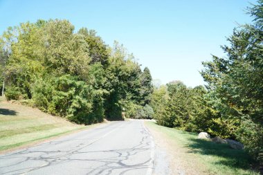 Parkın güzel manzarası