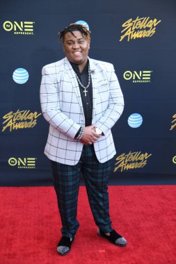 24 Mart 2018 Cumartesi günü Las Vegas 'taki Orleans Resort' ta düzenlenen 33. Yıldız Ödülleri Kırmızı Halı sırasında ünlüler.