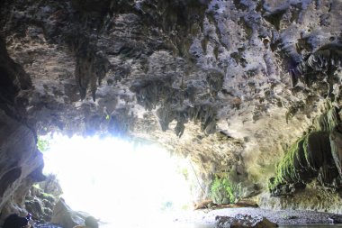 Belize 'deki Güzel Mağara Belize Şehri 27 Mayıs 2014