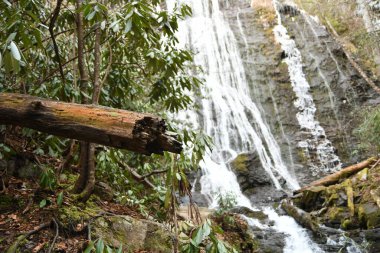 Maggie Vadisi, Kuzey Carolina 'da kış